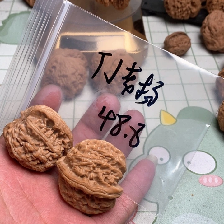 文玩核桃把件T**杨核桃