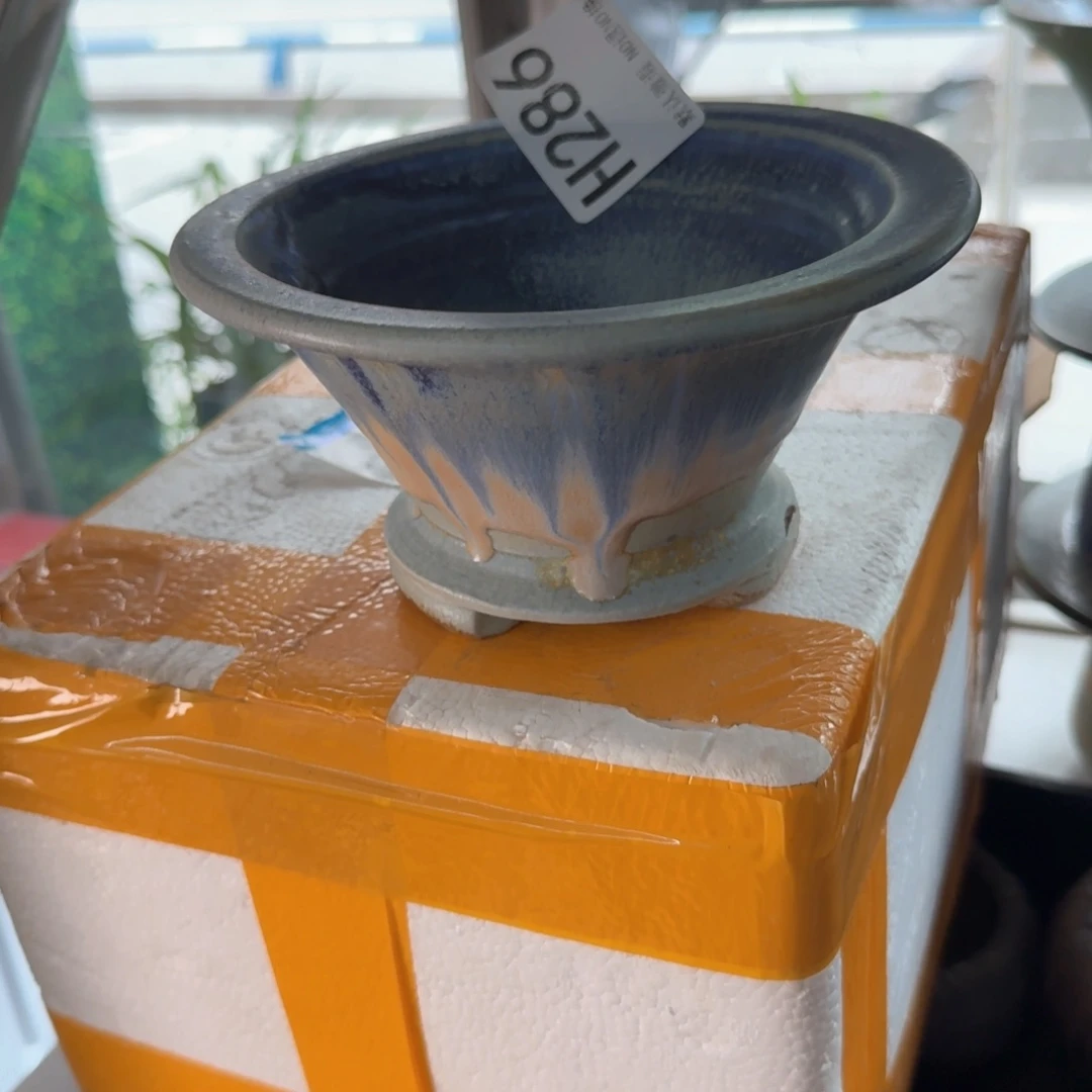 岁***好重庆小燕子欢迎大家286