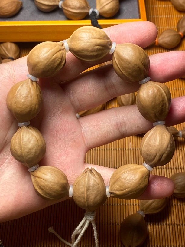 原生态铁核头货2026