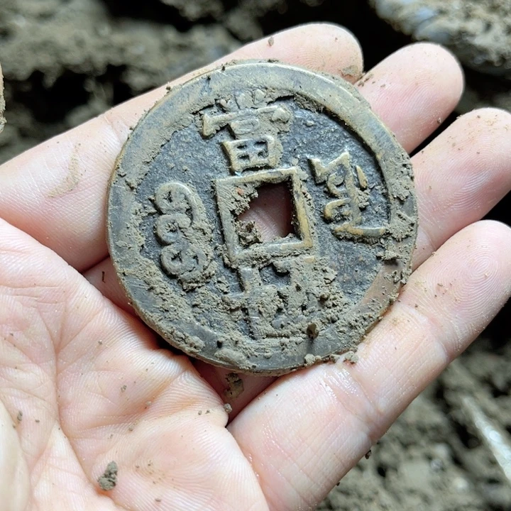 瓷片瓷器艺术家等收藏