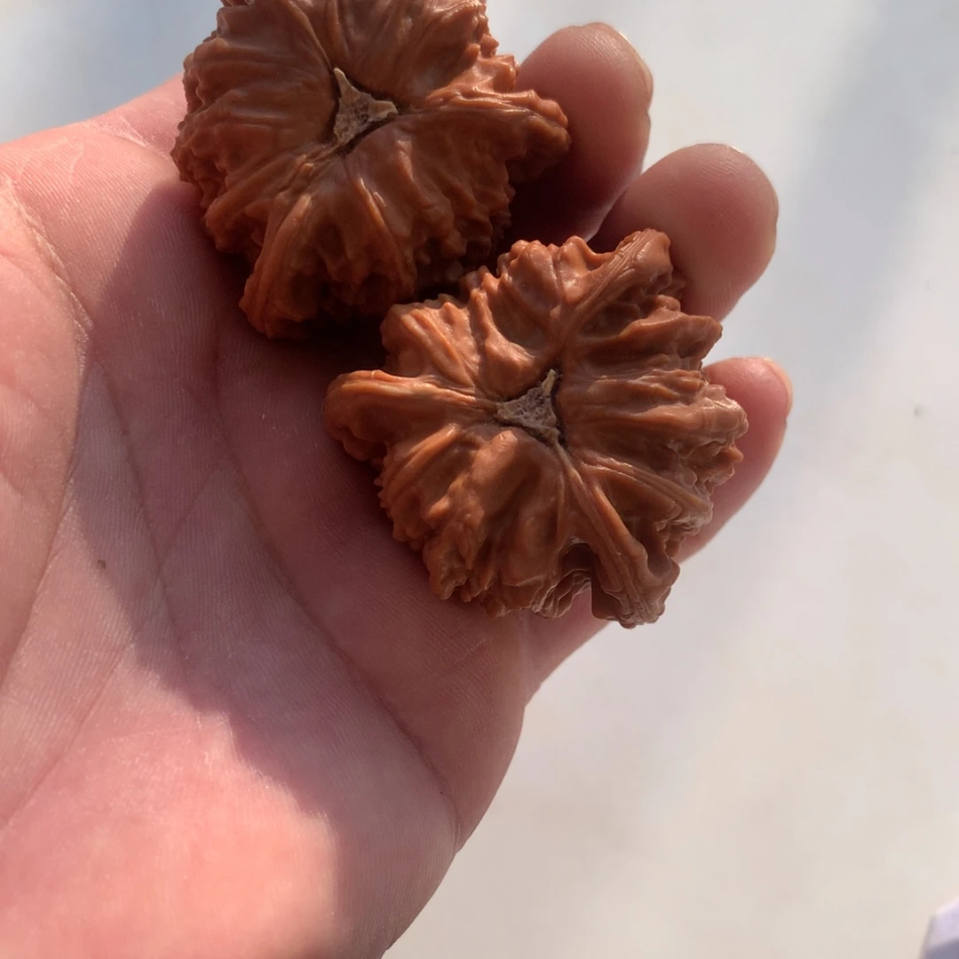 (***油吊坠文玩核桃三棱三棱