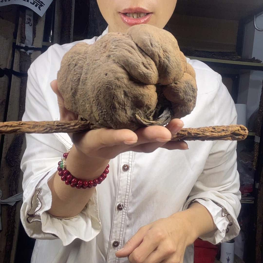 中国大陆765克老根