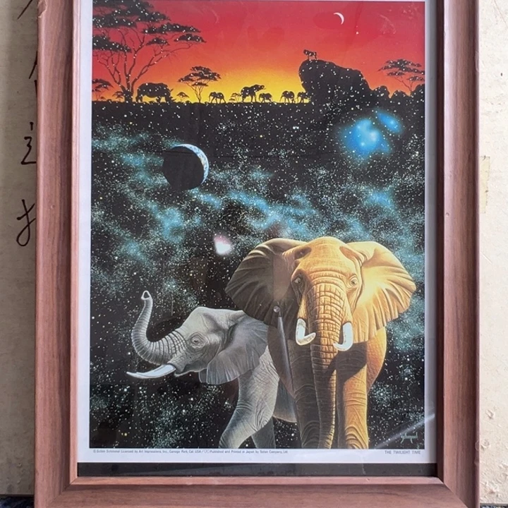 蜻***蜓中古版画不退不换