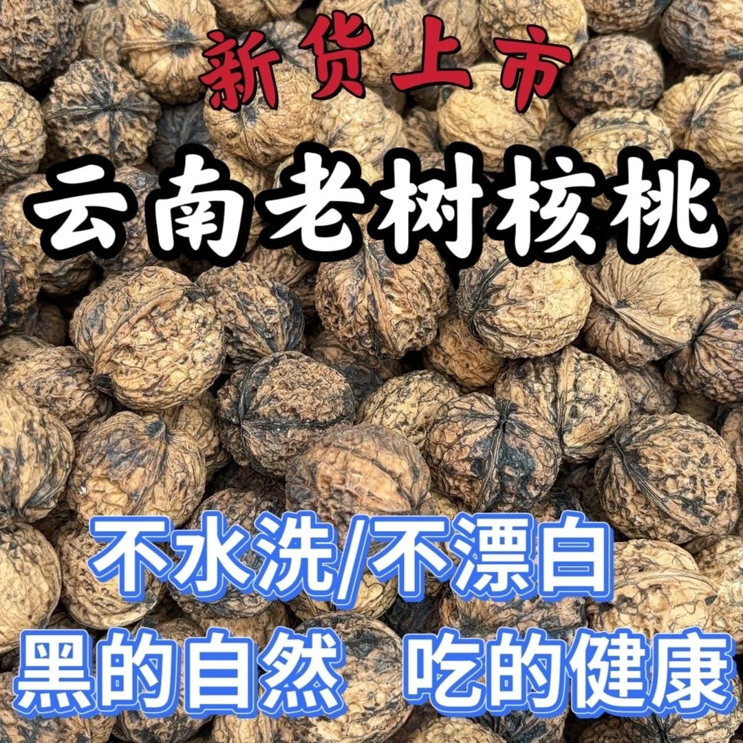 当季新货新核桃云南高山老树核桃新鲜湿核桃纯天然无污染