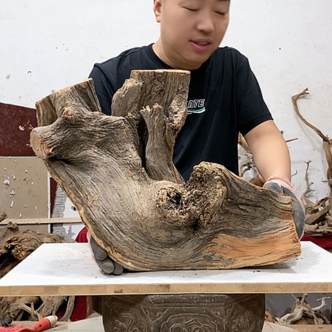 【闪购商品】柏木精*龙我们都是好孩子