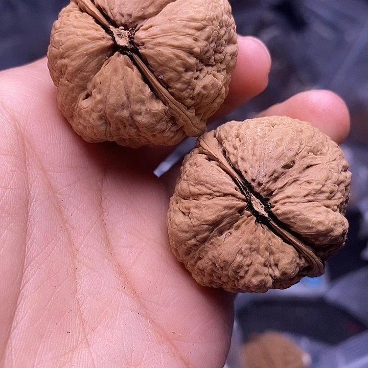 把件文玩核桃   291