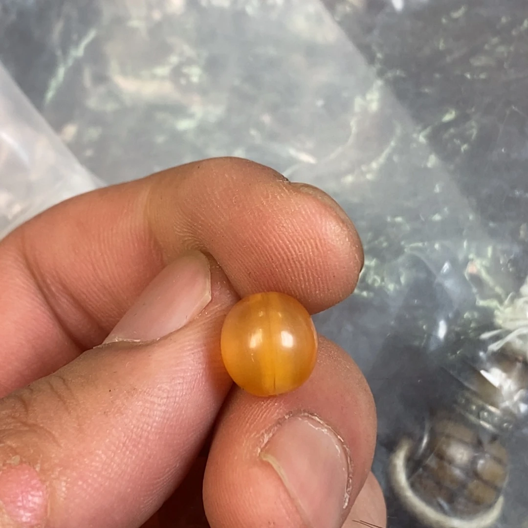 手串/手链驼骨1.0尺寸羊角,23
