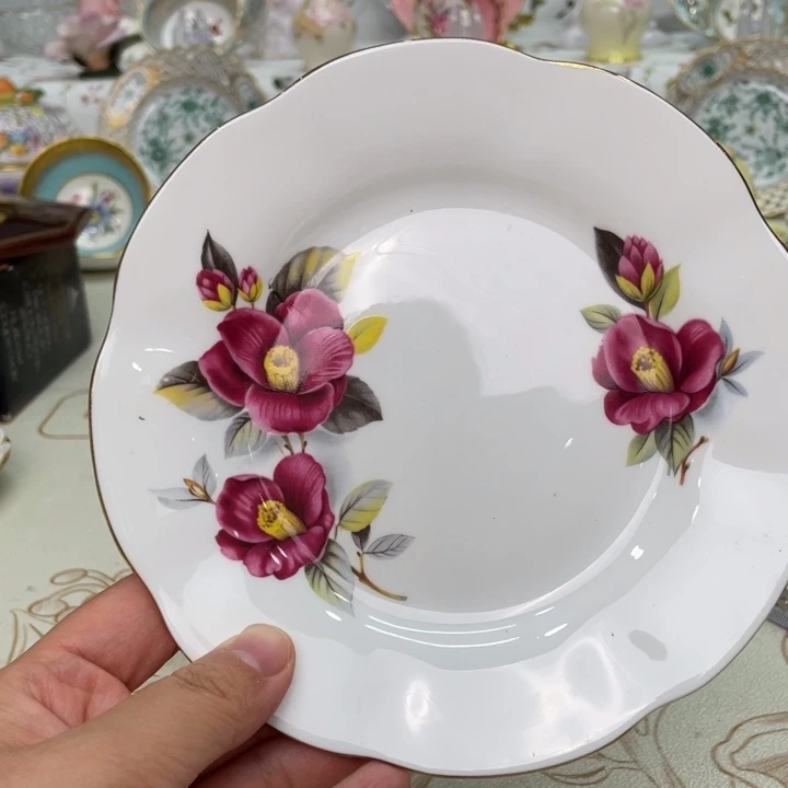 盘维多利亚欧洲中古