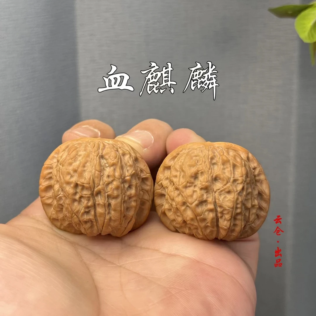 【血麒麟】文玩核桃手把件 涞水好物