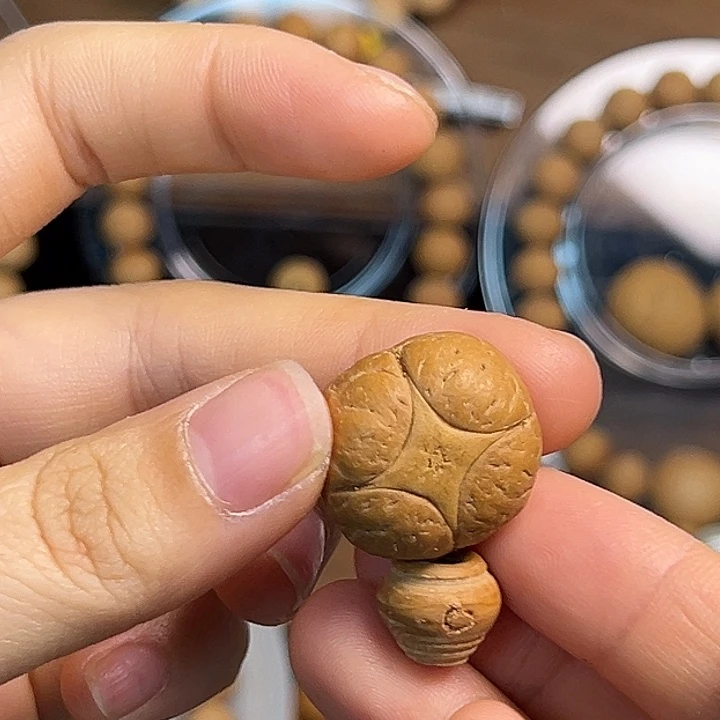 菩提籽类尼泊尔凤眼菩提