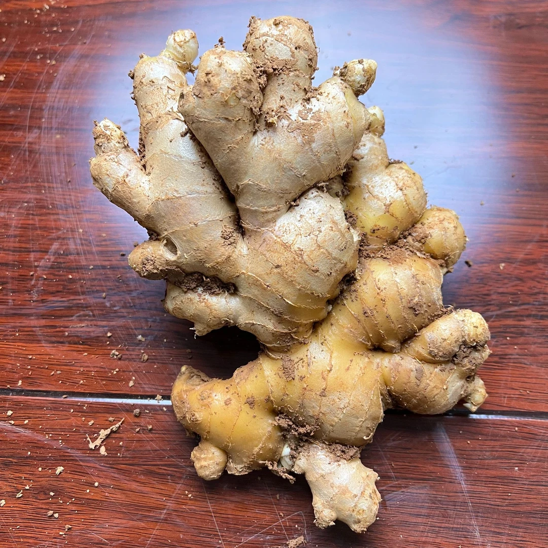 云南罗平小黄姜 老姜 脆姜 山地辛辣小黄姜 生姜两年老姜月子黄姜