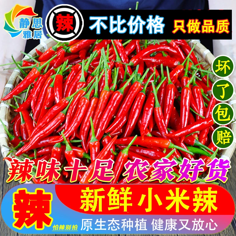 新鲜小米辣小米辣椒小米椒蔬菜魔鬼辣椒新鲜辣椒特辣巨辣红辣椒