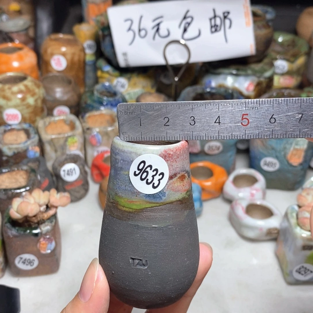 拍5送一个小礼物