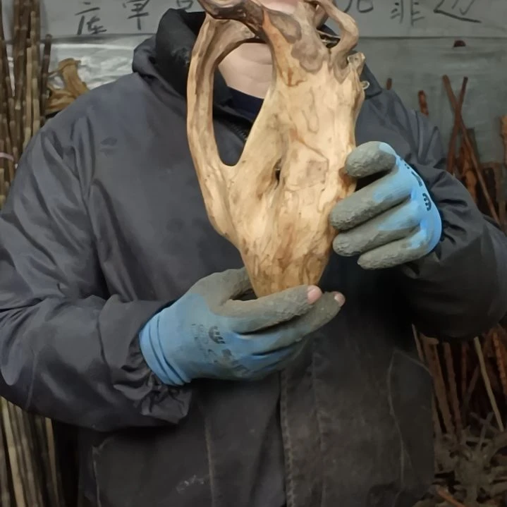 稳定木哈*贵州檬子木   铁马鞭   根艺  半成品