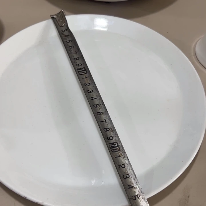 瓷片陶瓷制品白瓷盘两个