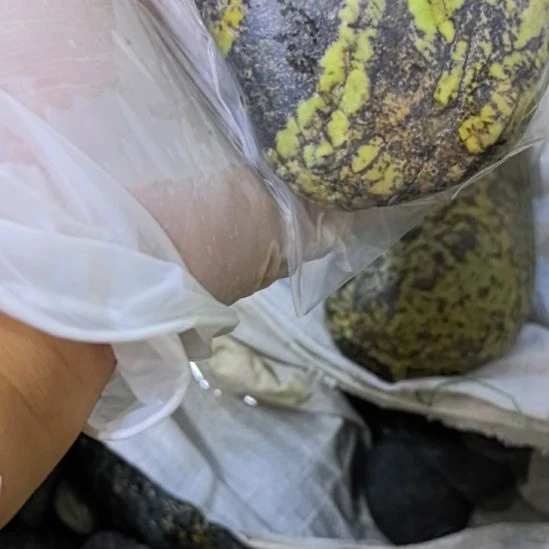 专***家有机玻璃藏玉药王石原石手把件