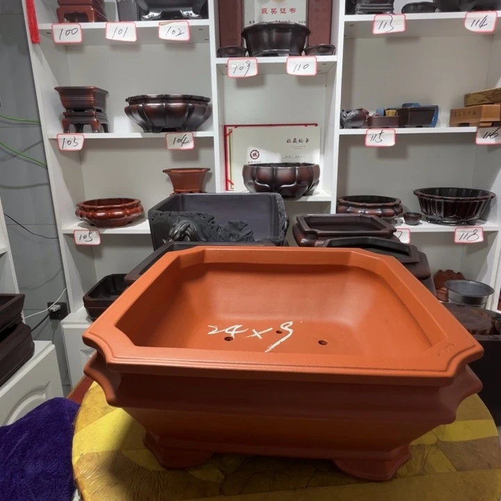 李***明花盆紫砂111111111