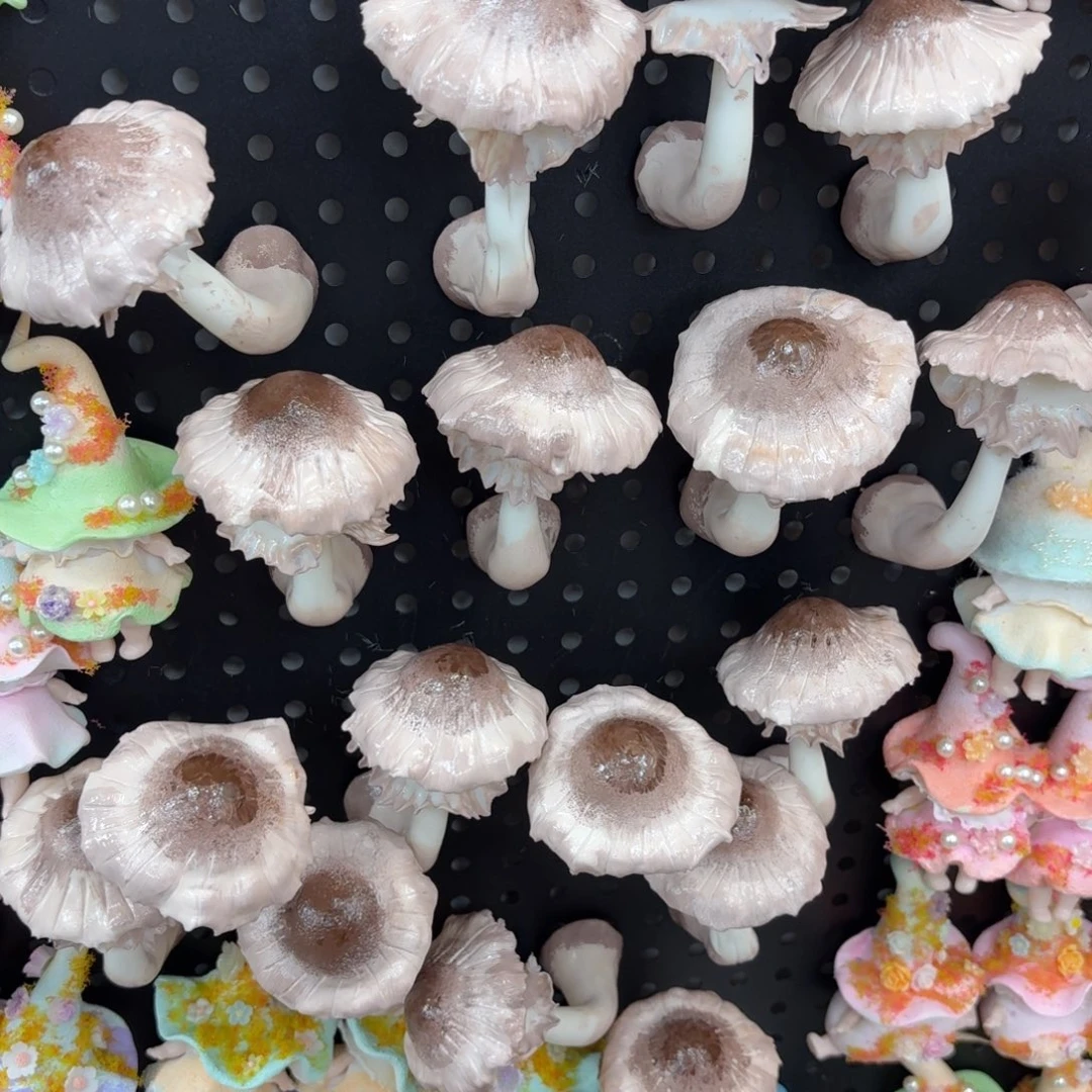 树脂制品1号2个哦哦哦哦哦哦