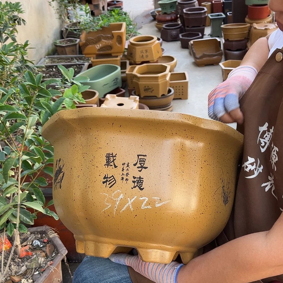 紫砂花盆盆景艺术