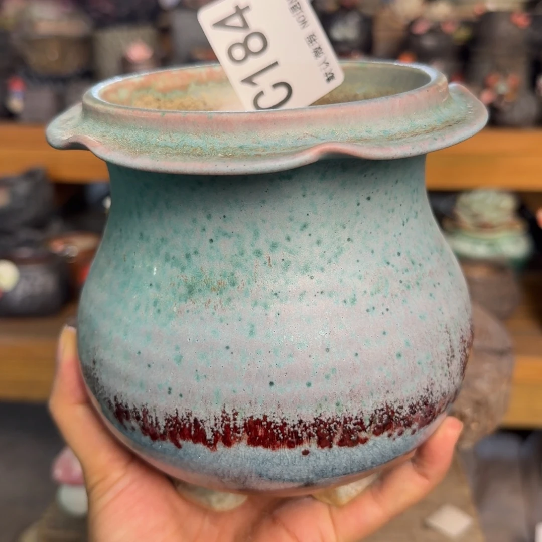 重庆小燕子欢迎大家184