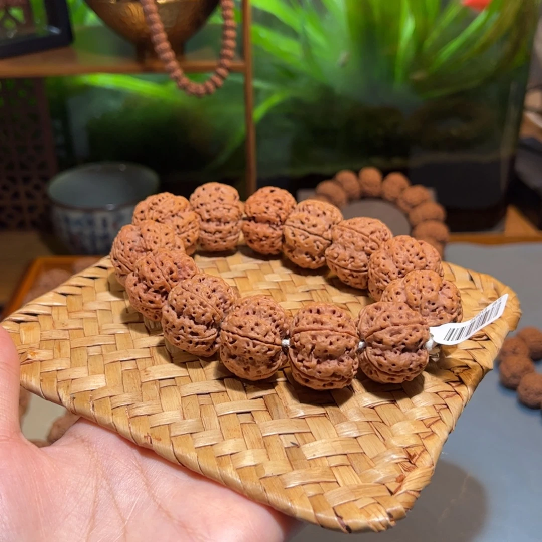 吊坠金刚菩提粗茎满肉梅花26mm