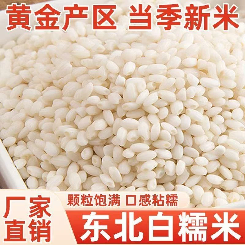 东北圆粒新糯米白江米香甜饱满适合包粽子酿酒糍粑糯大米五谷杂粮
