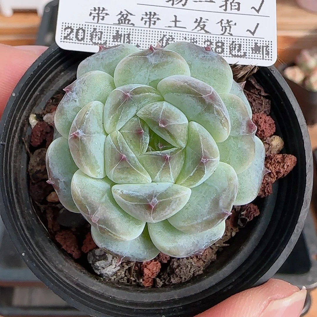 1107----377福利福利