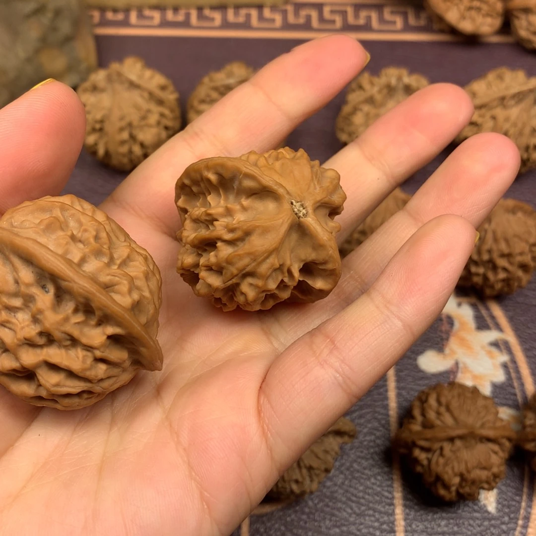 秦岭山脉和黄土高原的