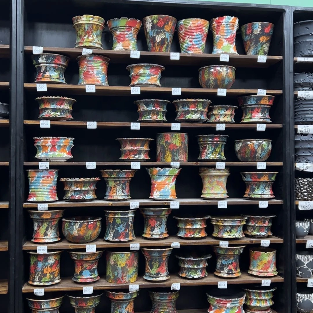 有喜欢的把编号打在公屏