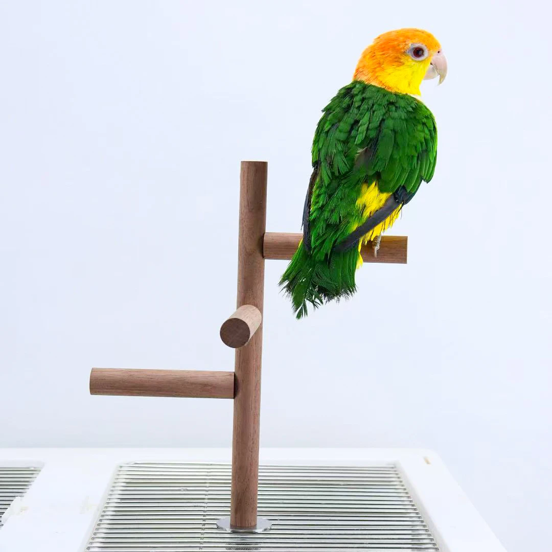 洪屿鹦鹉天然胡桃木旋转站棍多叉磨爪棒宠物解闷啃咬站架鹦鹉