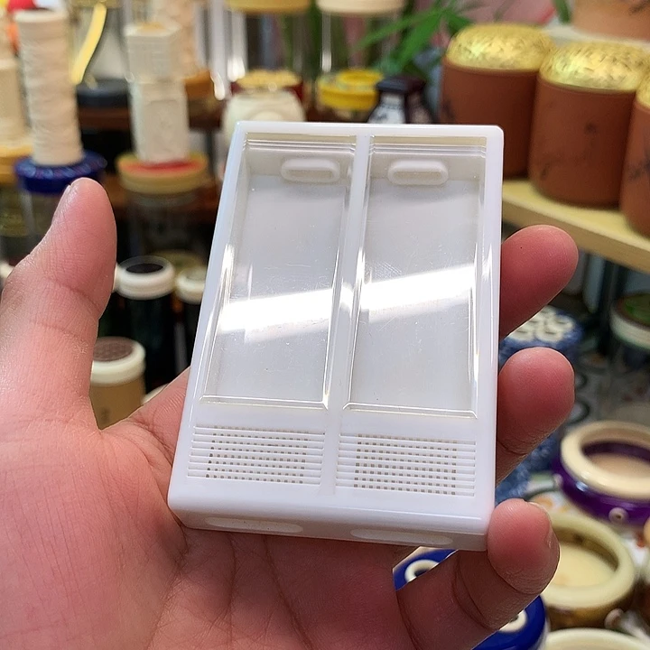带两只大黄蛉啊啊啊啊啊