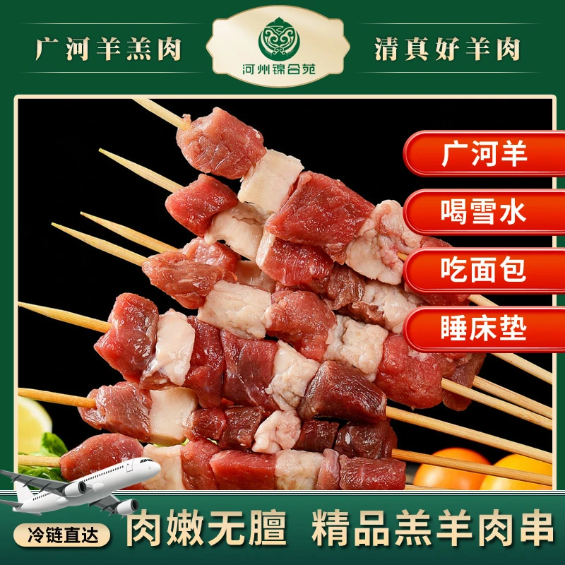 甘肃广河清真鲜羊肉串新鲜羊后腿三瘦两肥户外居家烧烤聚餐必备