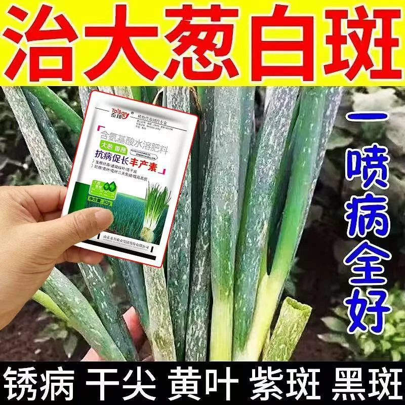大葱专用肥大葱猛长预防干尖软腐病疫病病毒白粉病锈病微生物肥料