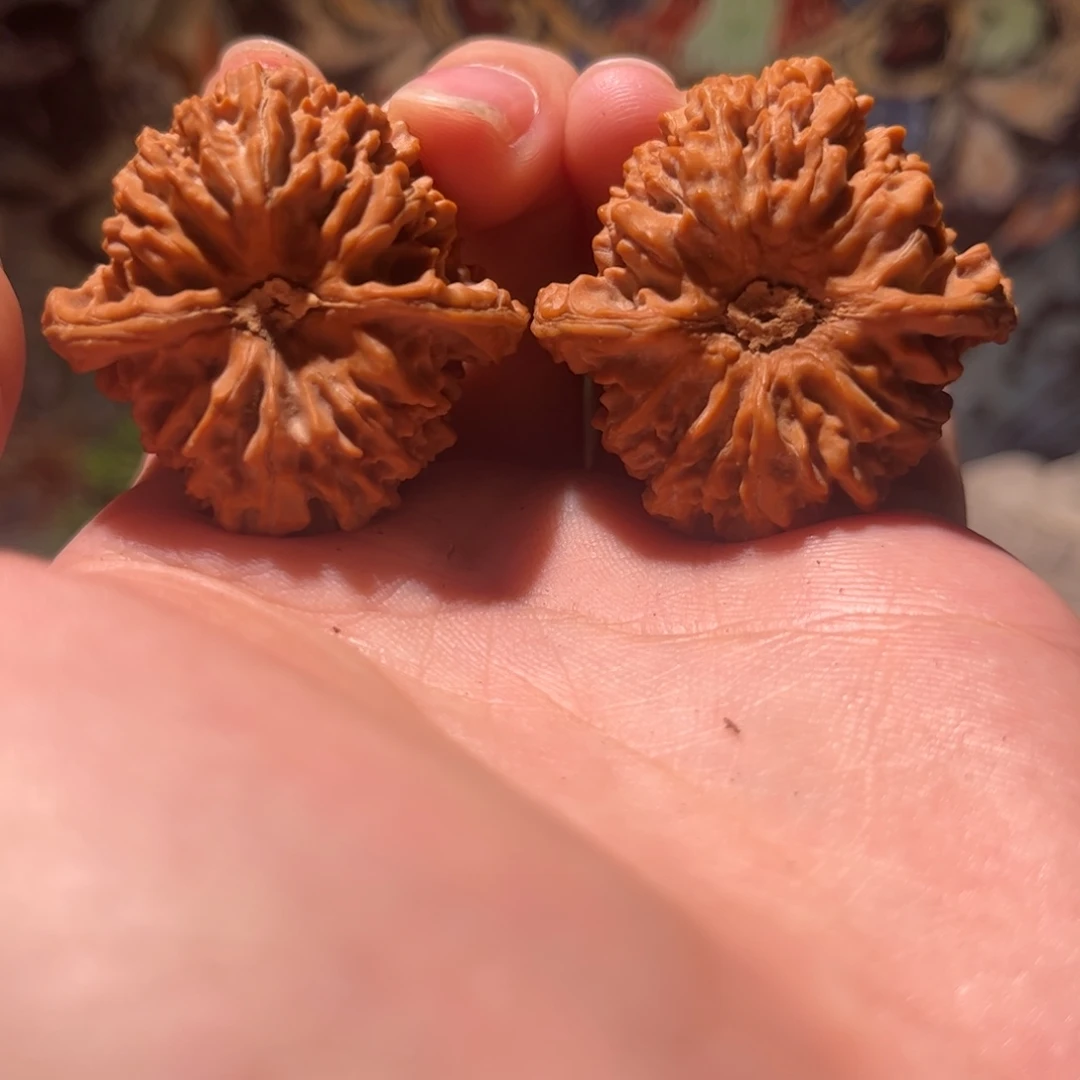 半***辰木质39百花山狮子头