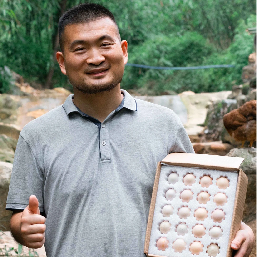 [顺丰快递]30枚/50枚广东清远麻鸡初生蛋 吃五谷杂粮当天现捡现发