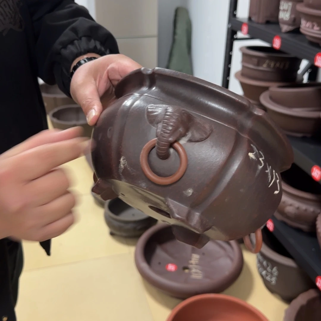 紫砂花盆我呜呜呜呜呜呜