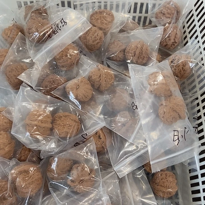 吊坠文玩核桃小白