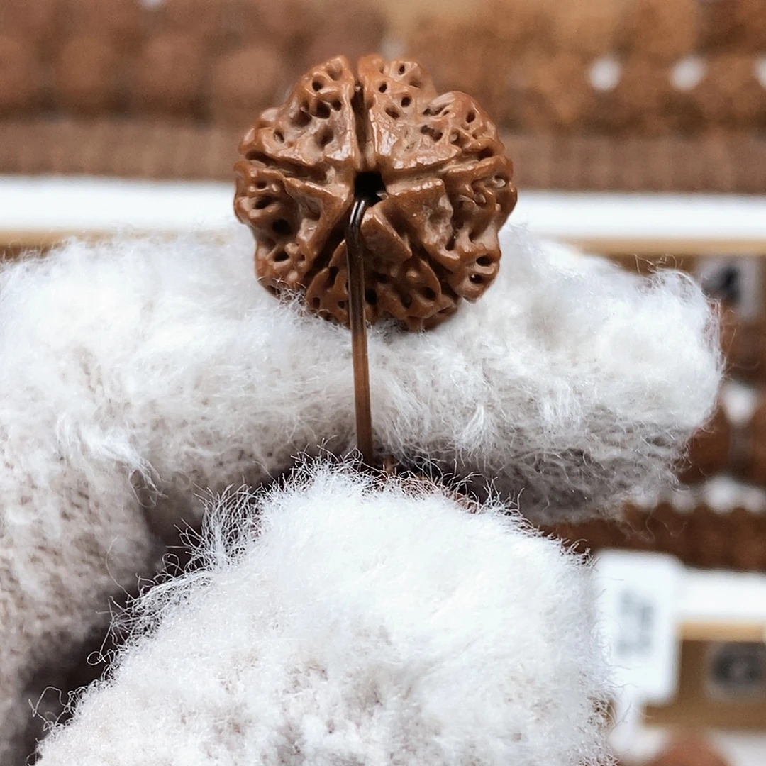 手串金刚菩提精品梅花粗筋蜂窝