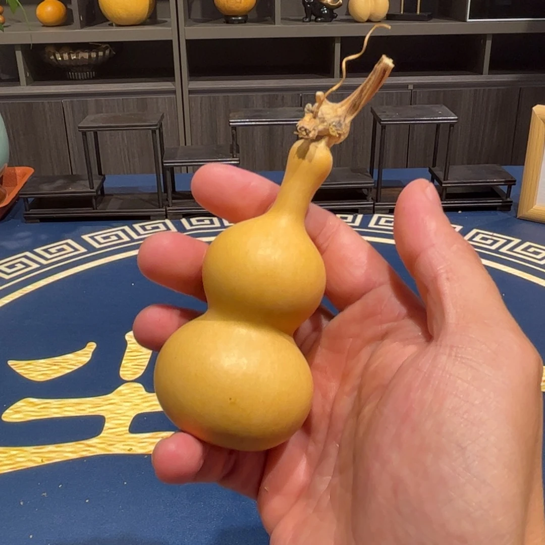 李***子葫芦娃的时候我也是醉