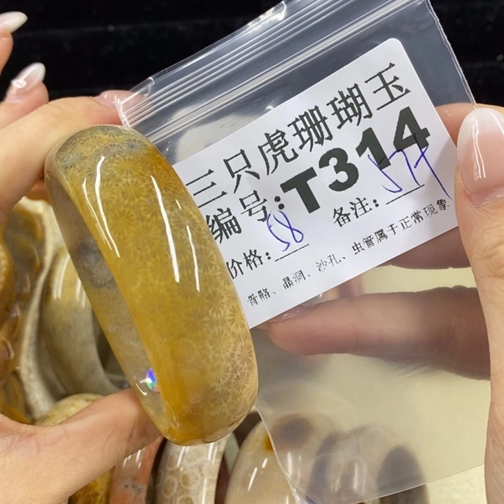 硅化珊瑚（珊瑚玉）1未镶嵌?**行