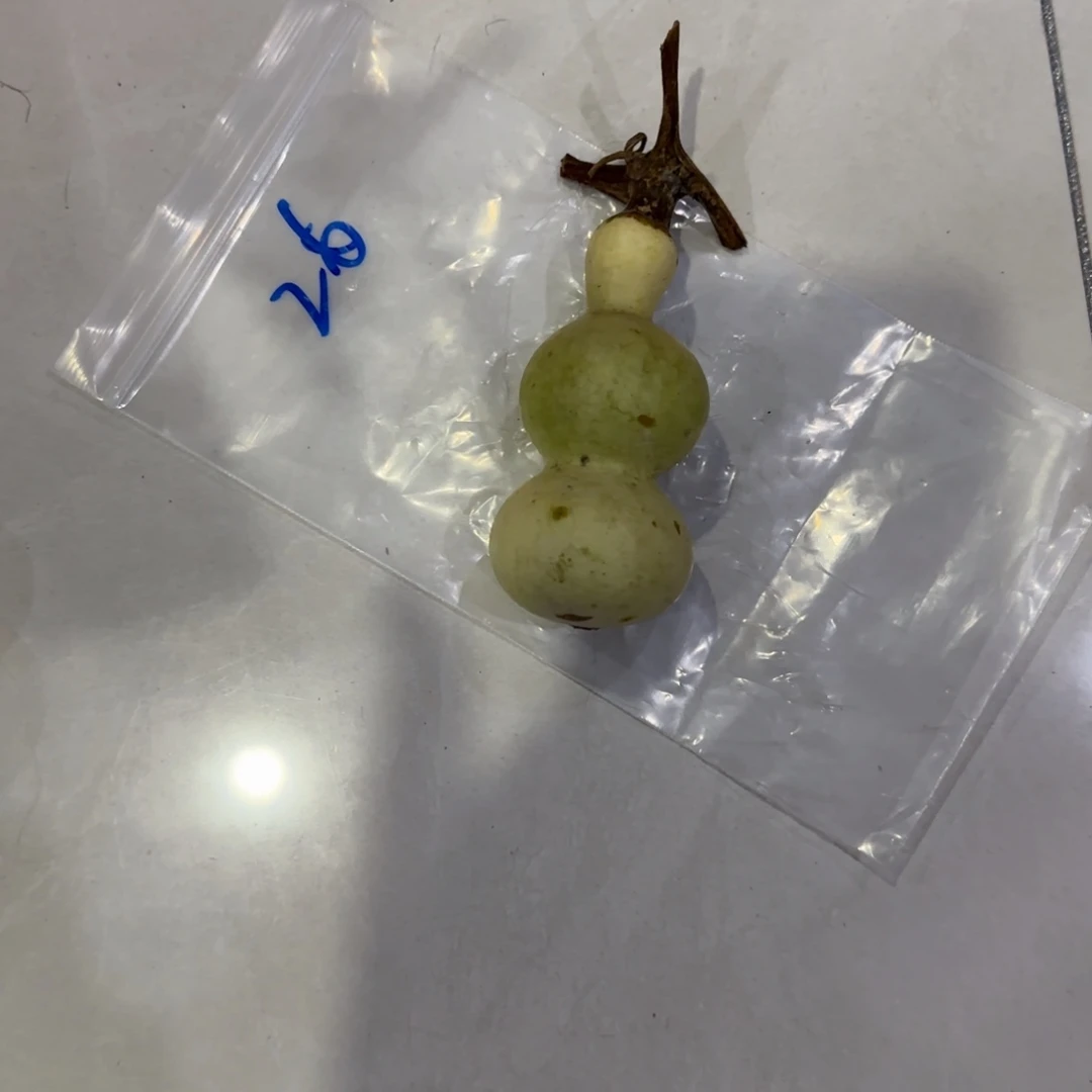 经***场青皮不包成青皮不包成