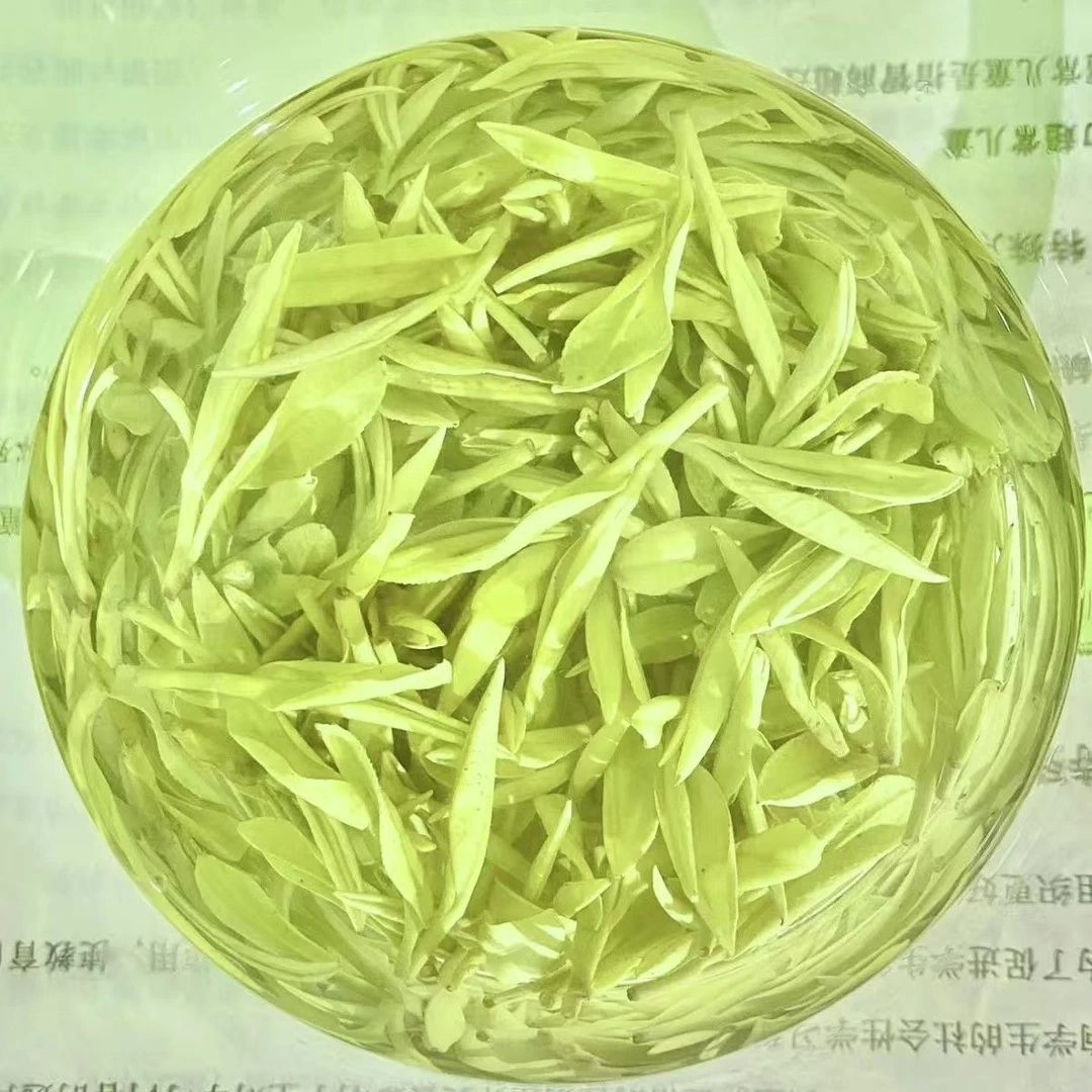 原产地2025年奶白茶新茶浓茶不苦涩茶叶