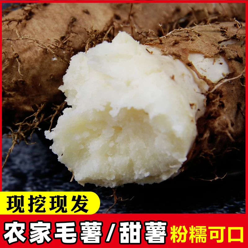 广东毛薯甜薯猪仔薯脚板薯新鲜现挖现发3/5/9斤