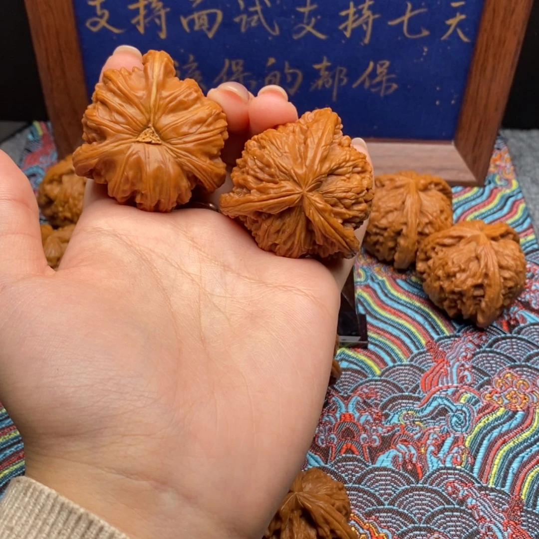 【闪购商品】四****啥白狮