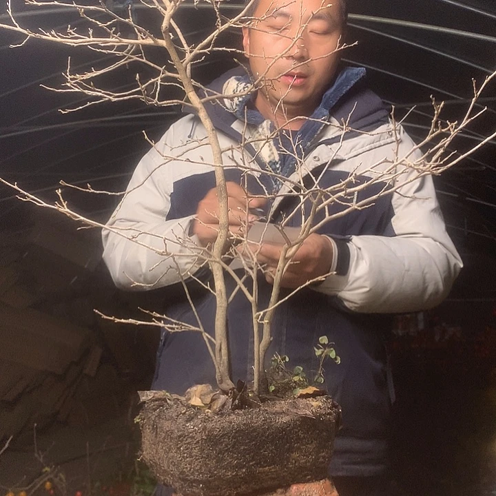 一***寸无花朵我们的目标