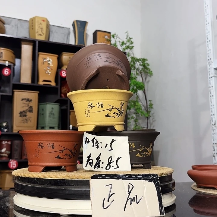 紫砂花盆盆友记紫砂花盆
