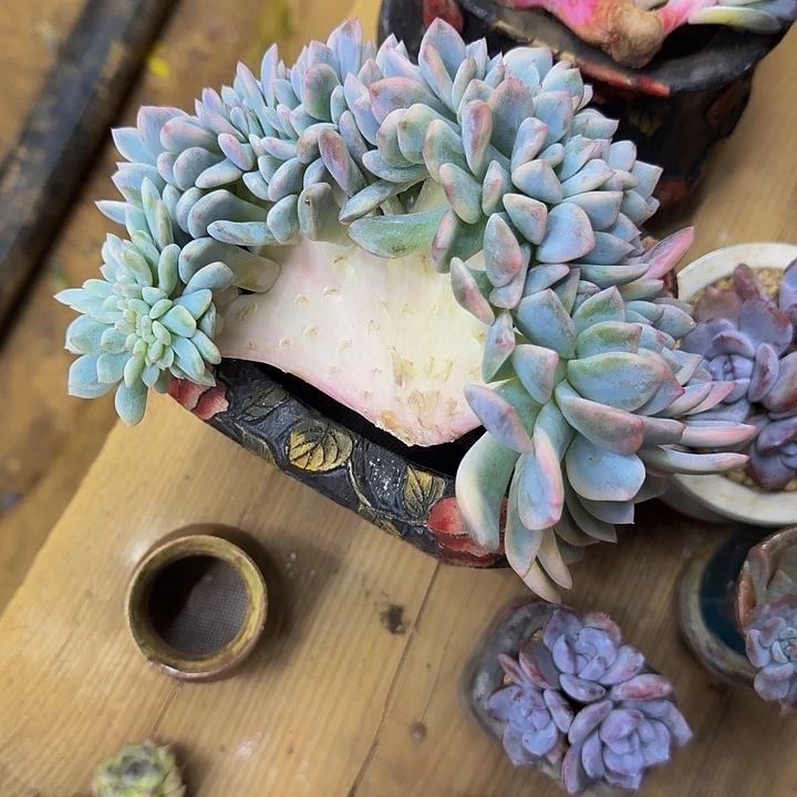 小***.哈哈哈哈哈哈哈哈哈哈