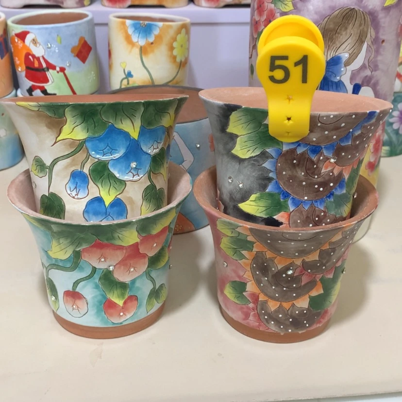 【闪购商品】红陶桑*