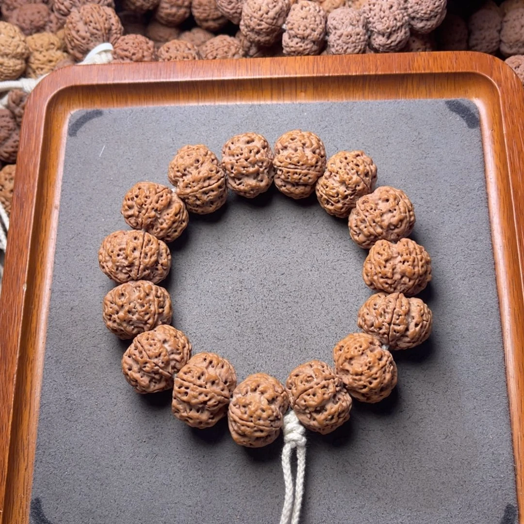 菩提籽类1号金刚菩提飞碟梅花23