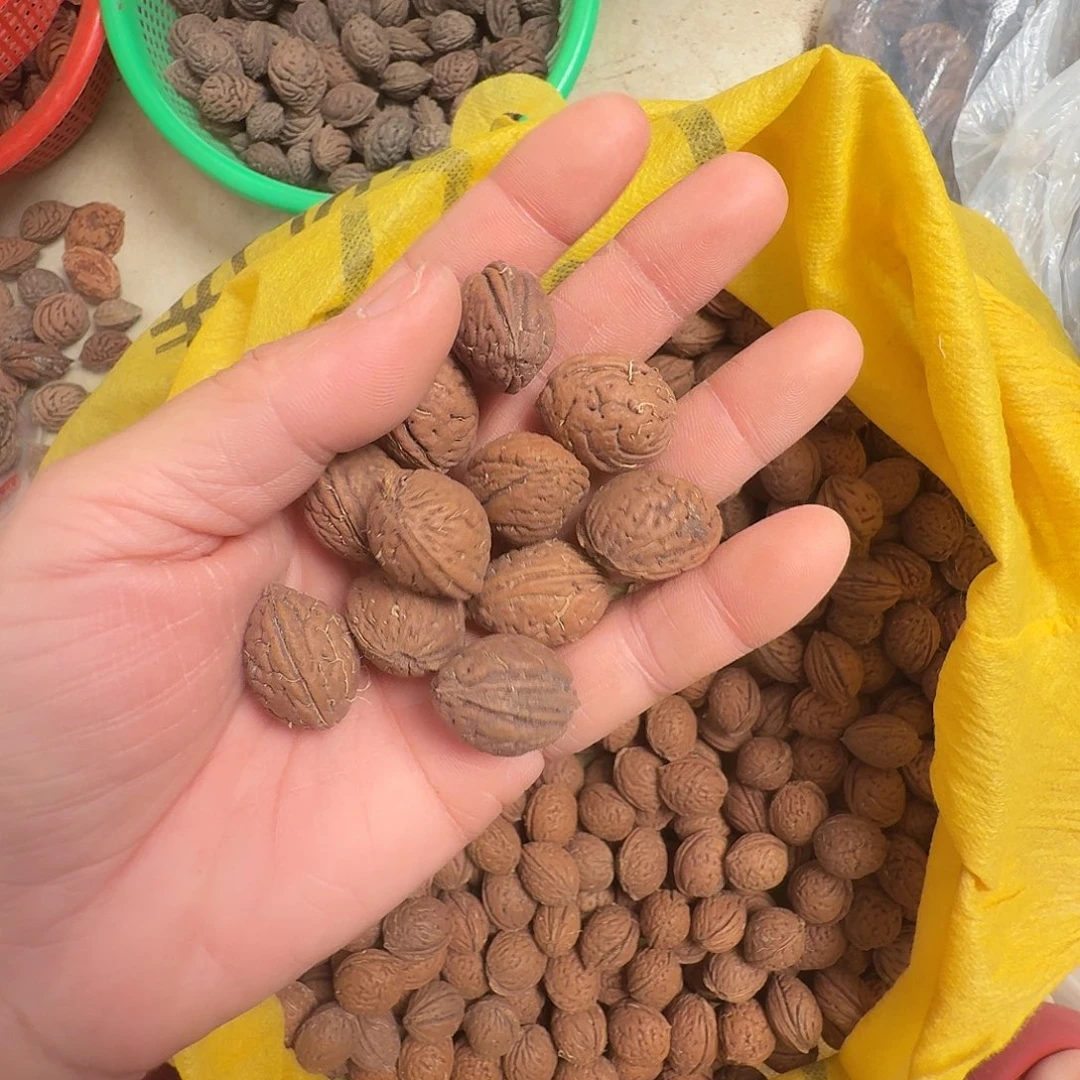 野生桃核精挑30颗